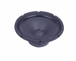 P.Audio E10-100S НЧ-СЧ динамик , 10", 150 Вт.(RMS), 8 Ом.,45-4000Гц, 92 дБ(Вт/м), катушка 2".