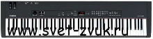   Yamaha CP 33   